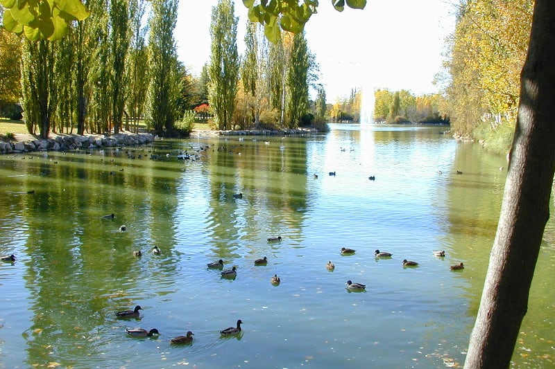 Vista del lago del Parque Natural El Soto desde la cabecera Este