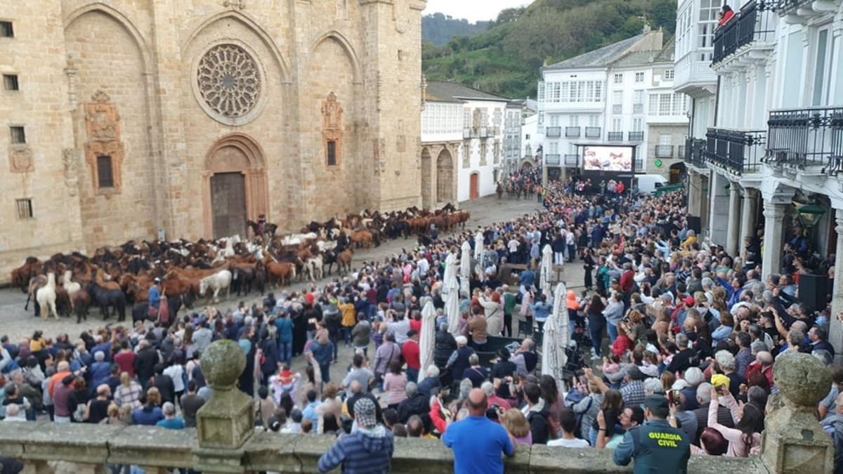 Stripe, la cebra que protagoniza las San Lucas de Mondoñedo, y otras citas de las fiestas