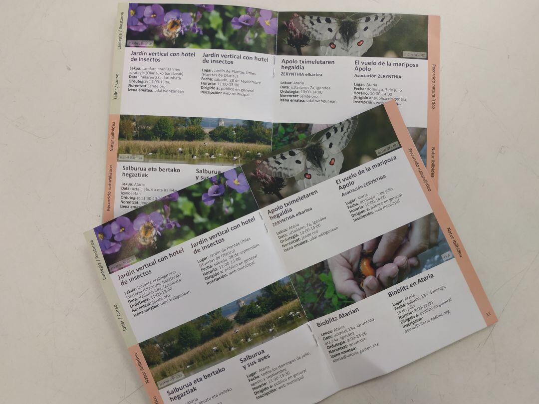 Folleto de actividades de la Agenda de verano de CEA