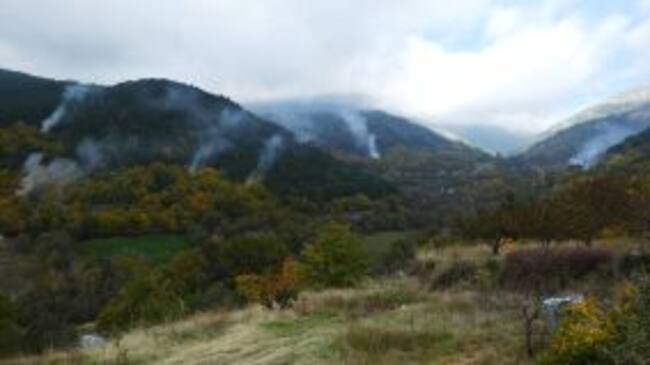 EQUO considera que el riesgo de incendios es otro motivo para no permitir la quema de rastrojos