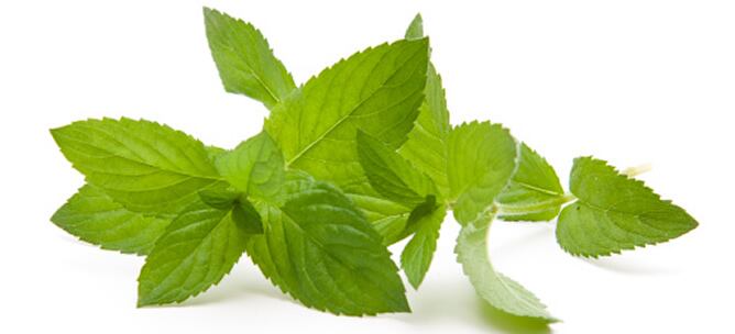 El aroma y el sabor de la hierbabuena imprime un toque especial a cualquier plato