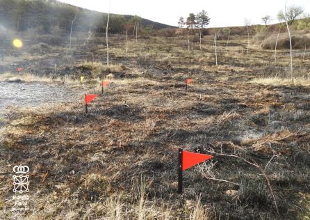 Superficie quemada que ha afectó a la zona no arbolada