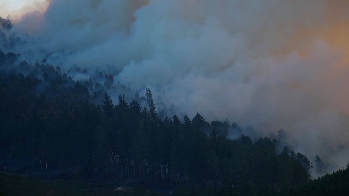El error de llamar pirómanos a todas las personas incendiarias