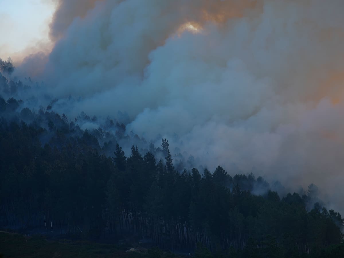 El error de llamar pirómanos a todas las personas incendiarias