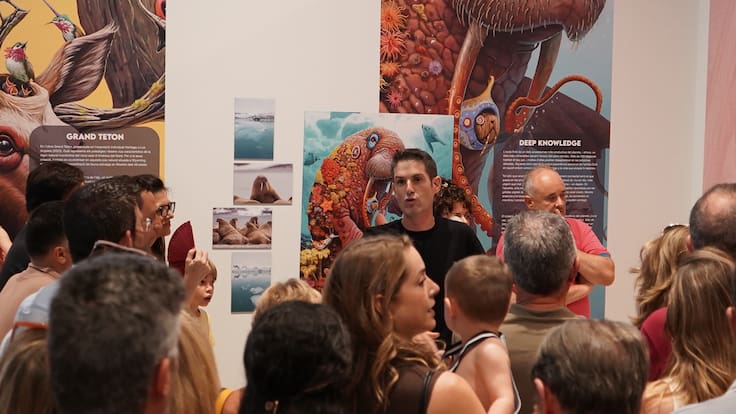 Entrevista a María José Alhambra, valoración visitas a la exposición de Dulk en el Museu del Textil.