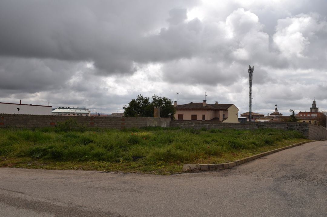 Desbroce de parcelas