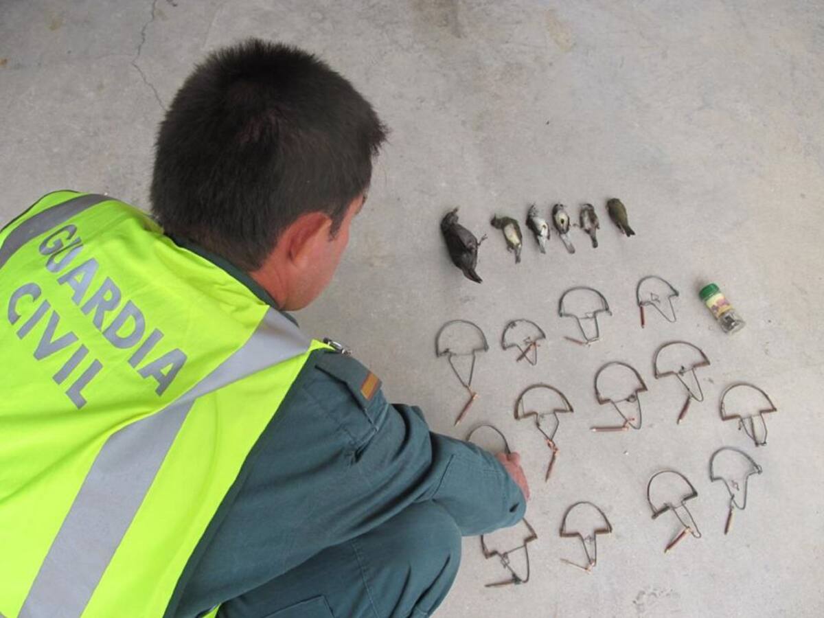 Sorprendido cazando aves con costillas