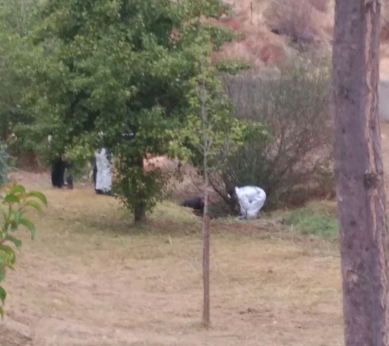 El cuerpo ha aparecido en el interior del parque del residencial Los Monjes