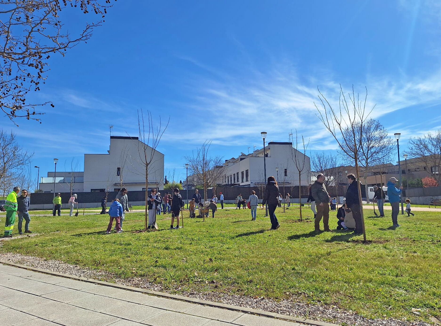 Parcela de Paracuellos de Jarama