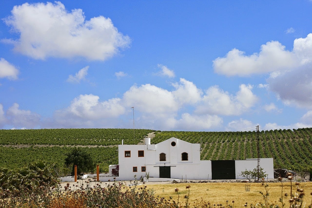 Recorrido por el camino del Rocío jerezano