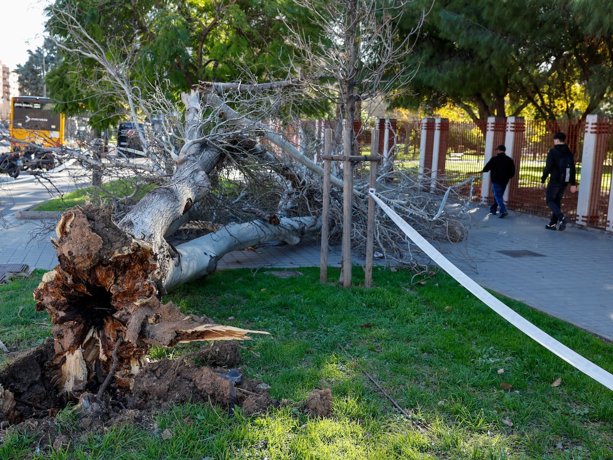 València cierra por el viento parques y recomienda a colegios evitar actividades al aire libre