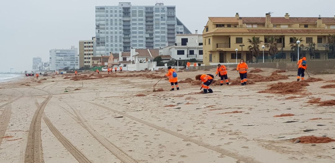 Servicio especial de limpieza este fin de semana en las playas de València