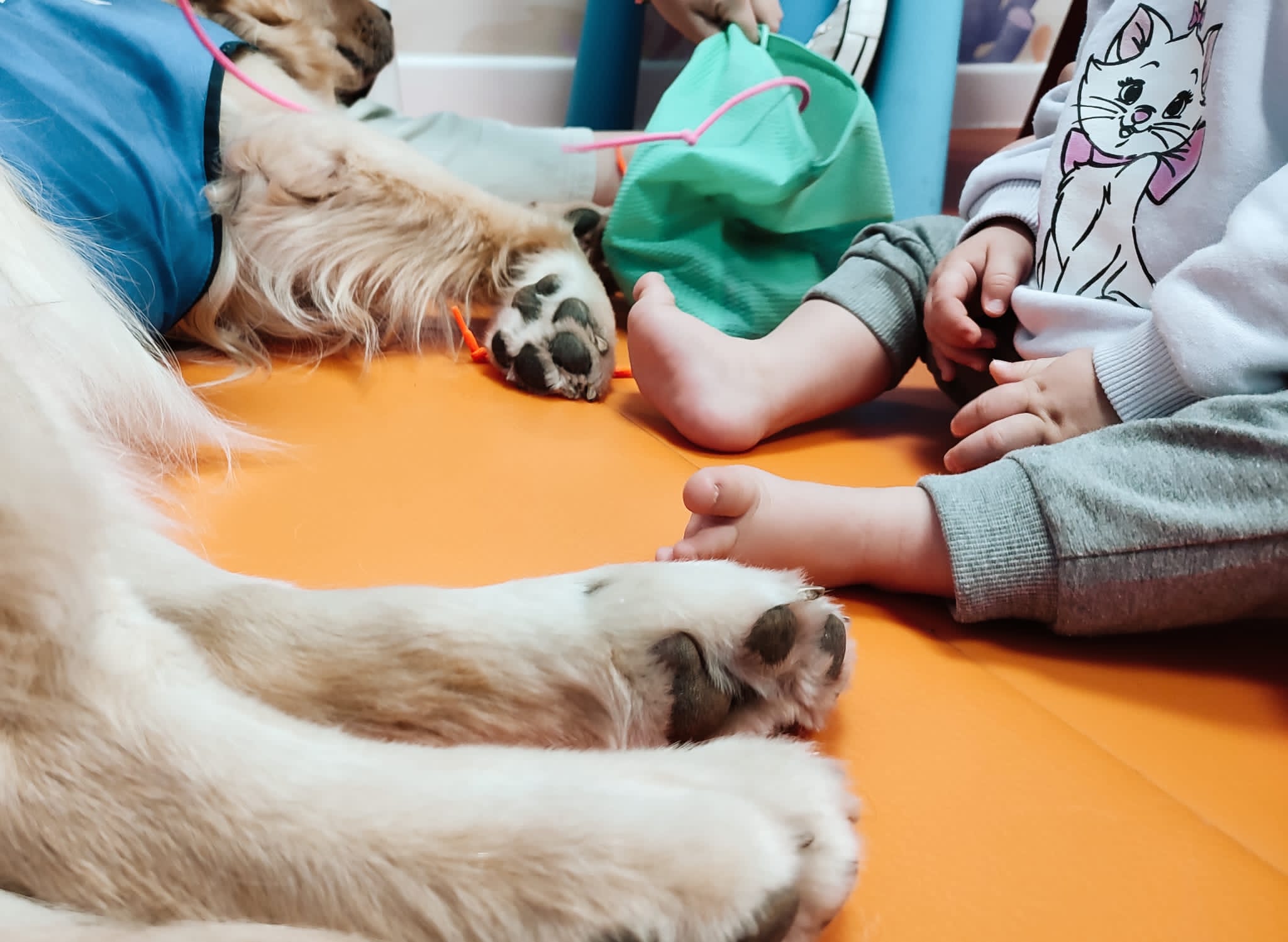 El contacto y juego con los perros reduce el estrés de los pequeños