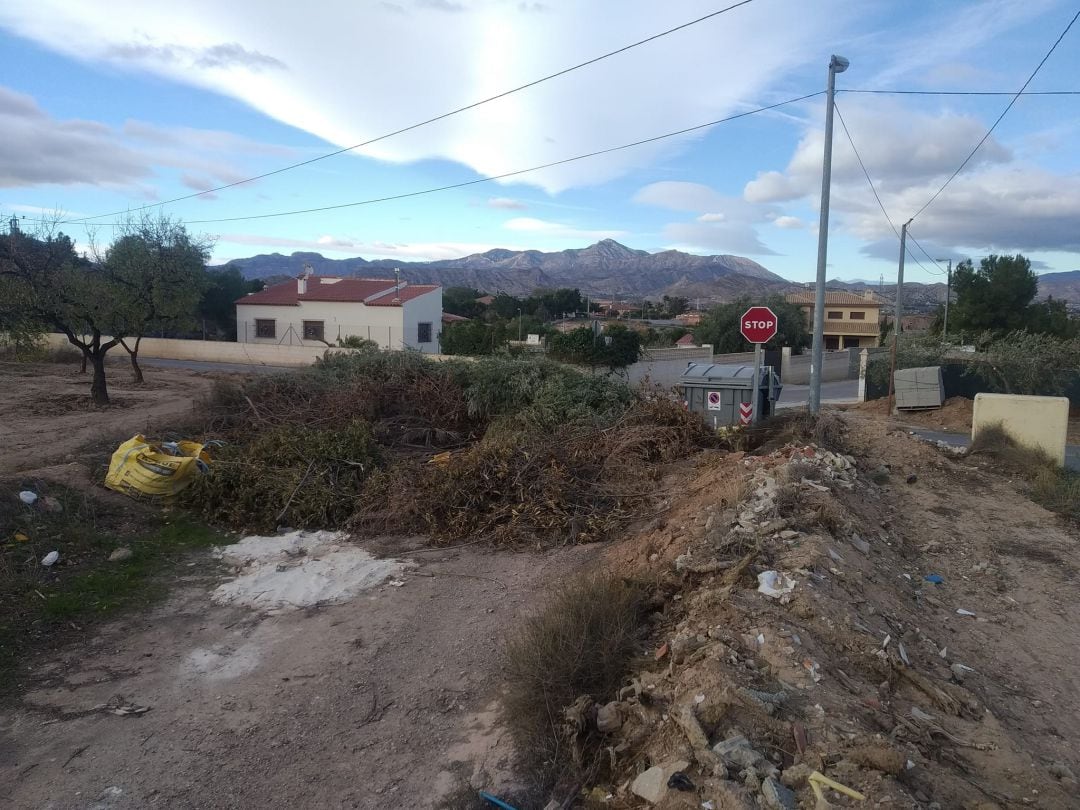 Restos de poda bloqueando un camino