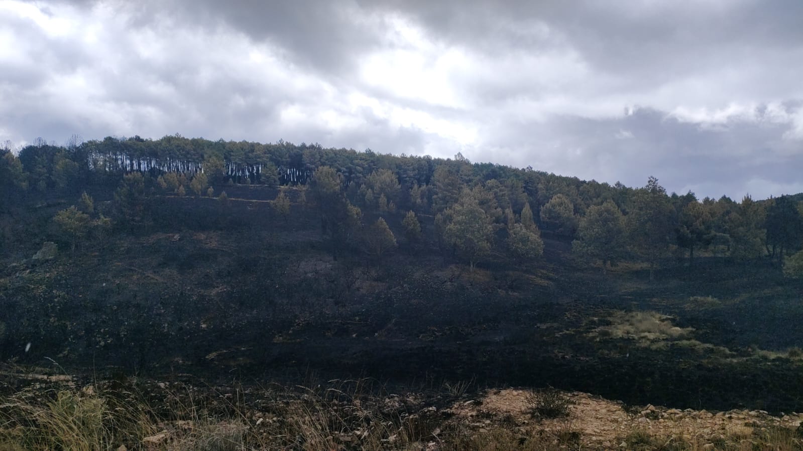 Zona de la Sierra de la Culebra en la mañana del domingo 17 de junio de 2022