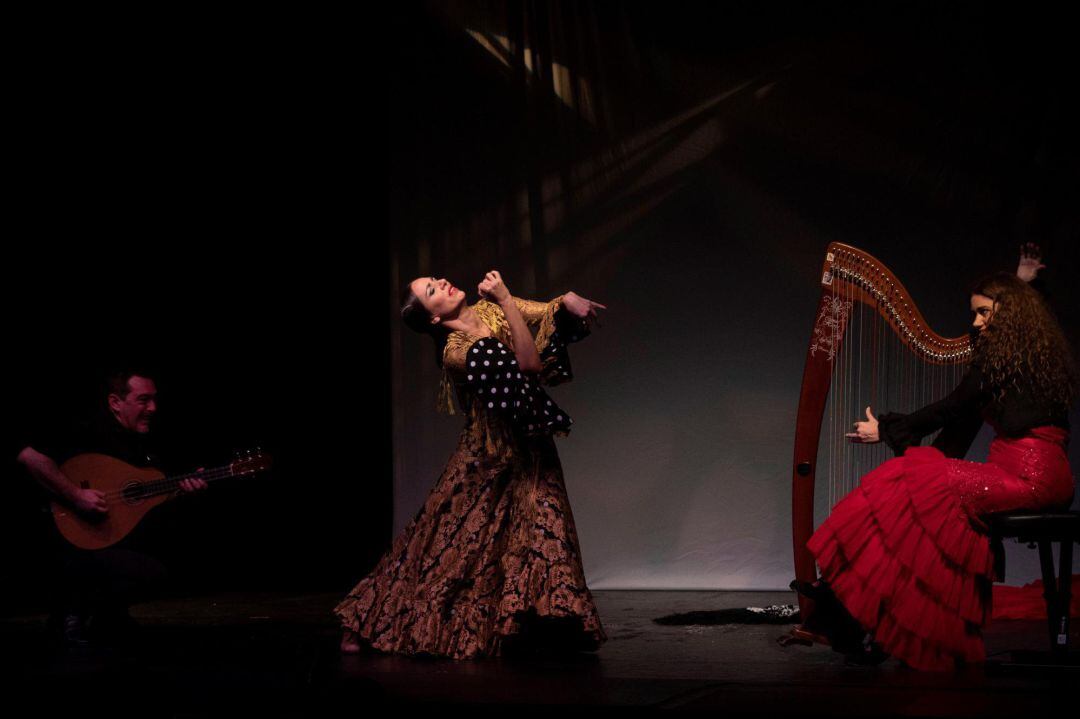 Espectáculo Flamenco.