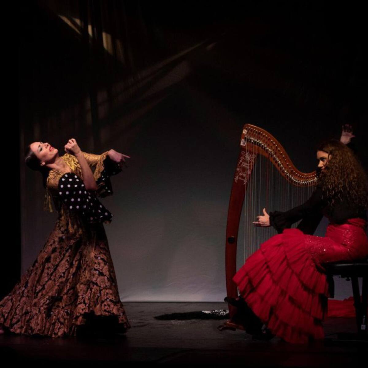 Las peñas flamencas se rebelan contra el Instituto Andaluz del Flamenco