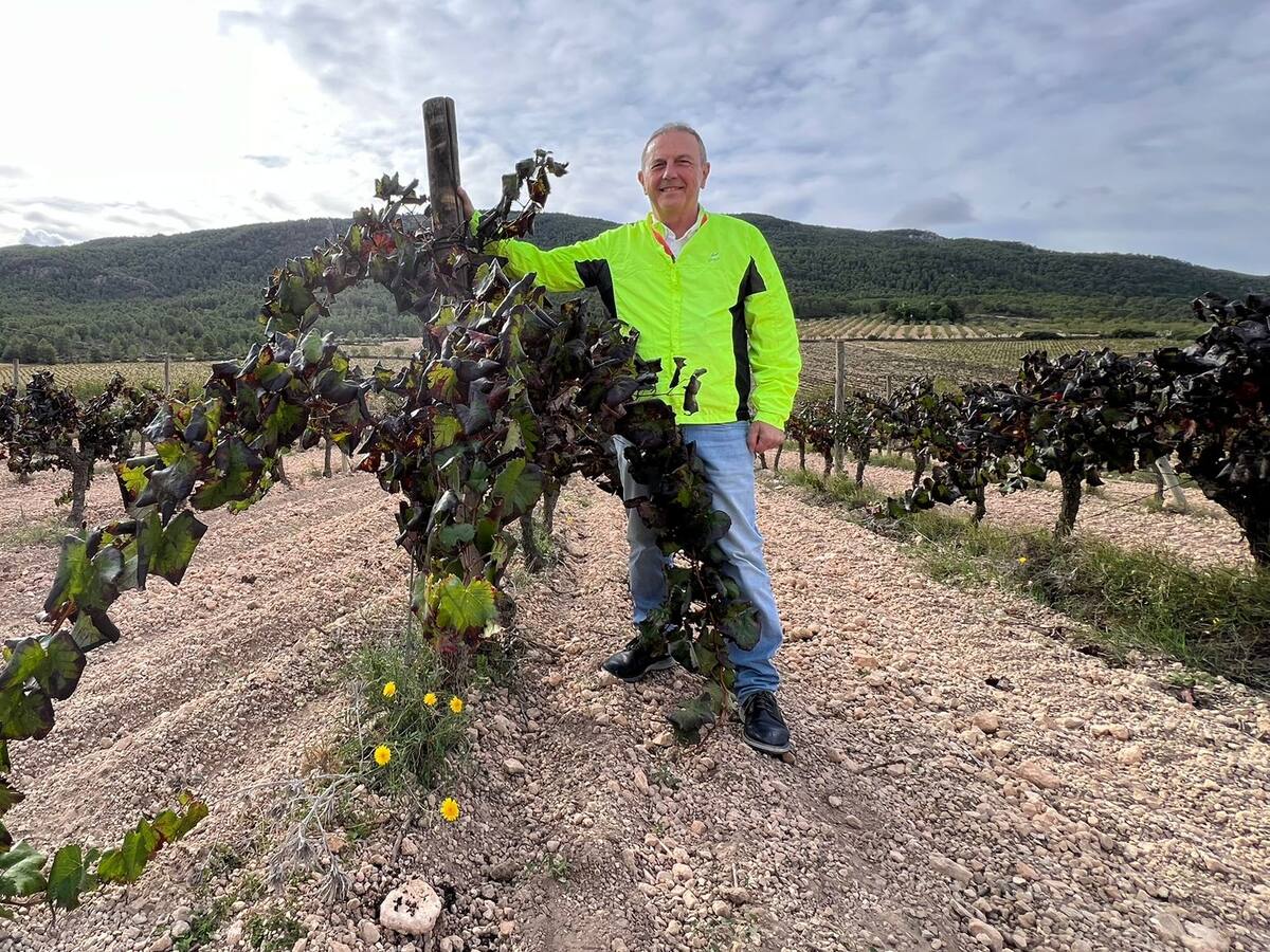 "Viñas y Relatos", con el enólogo y narrador Rafael Poveda: El clima: imprevisible y cíclico, un desafío continuo
