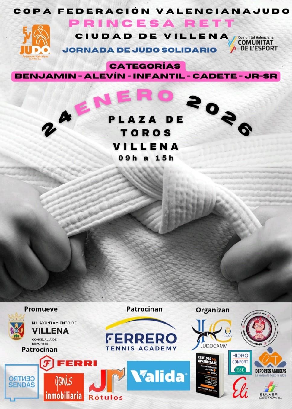 Cartel jornada judo villena