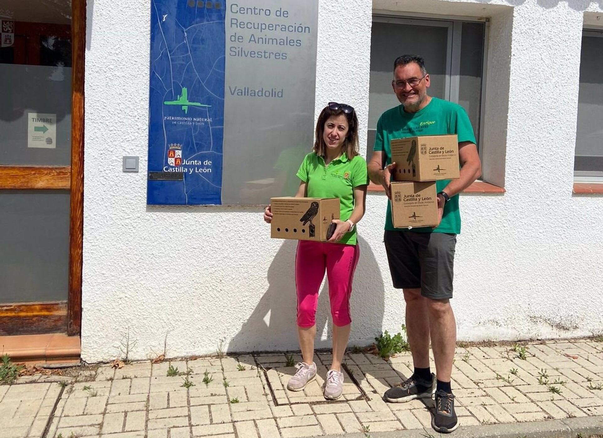Nacen dos crías de búho real en el Parque de la Naturaleza de Fresno (Valladolid), un &quot;hito&quot; para conservar la especie