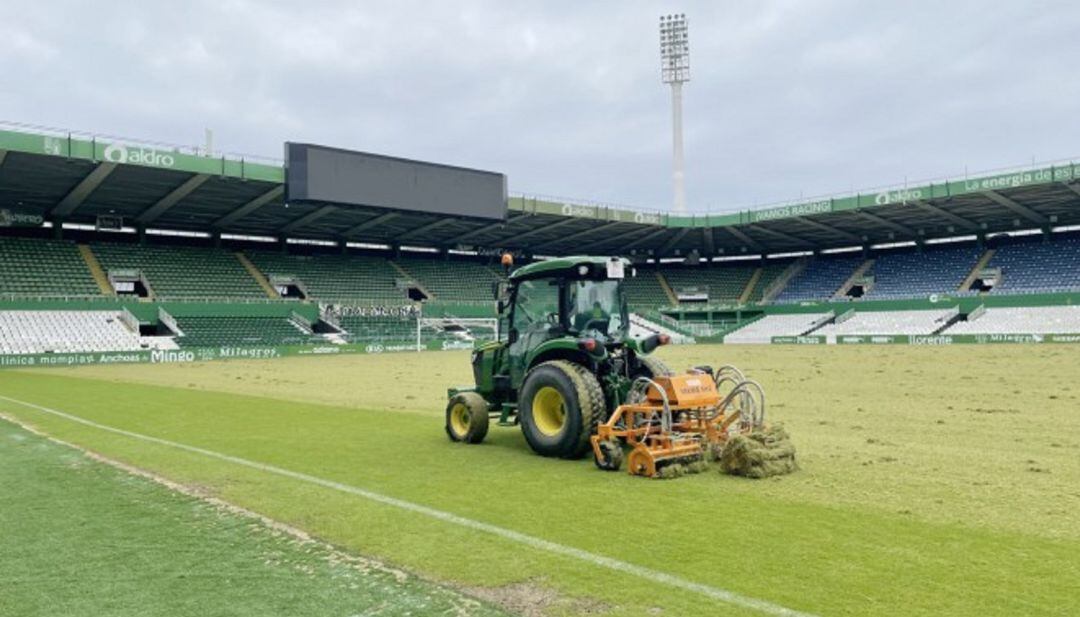 El césped de El Sardinero se prepara para la temporada 2021-2022