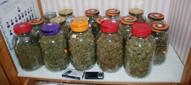 Marihuana almacenada en varios botes