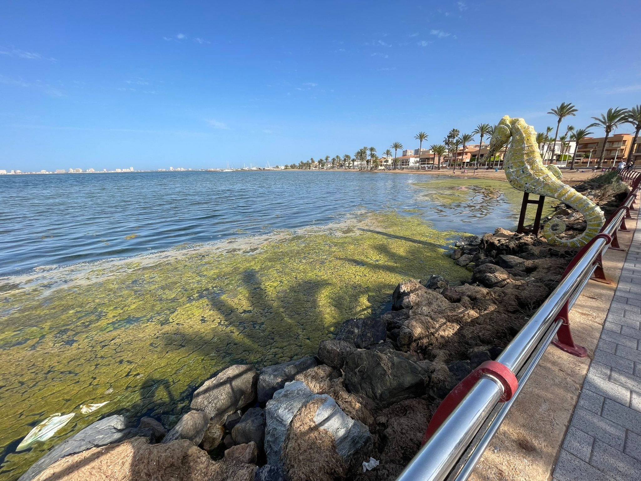 Situación del Mar Menor en Islas Menores