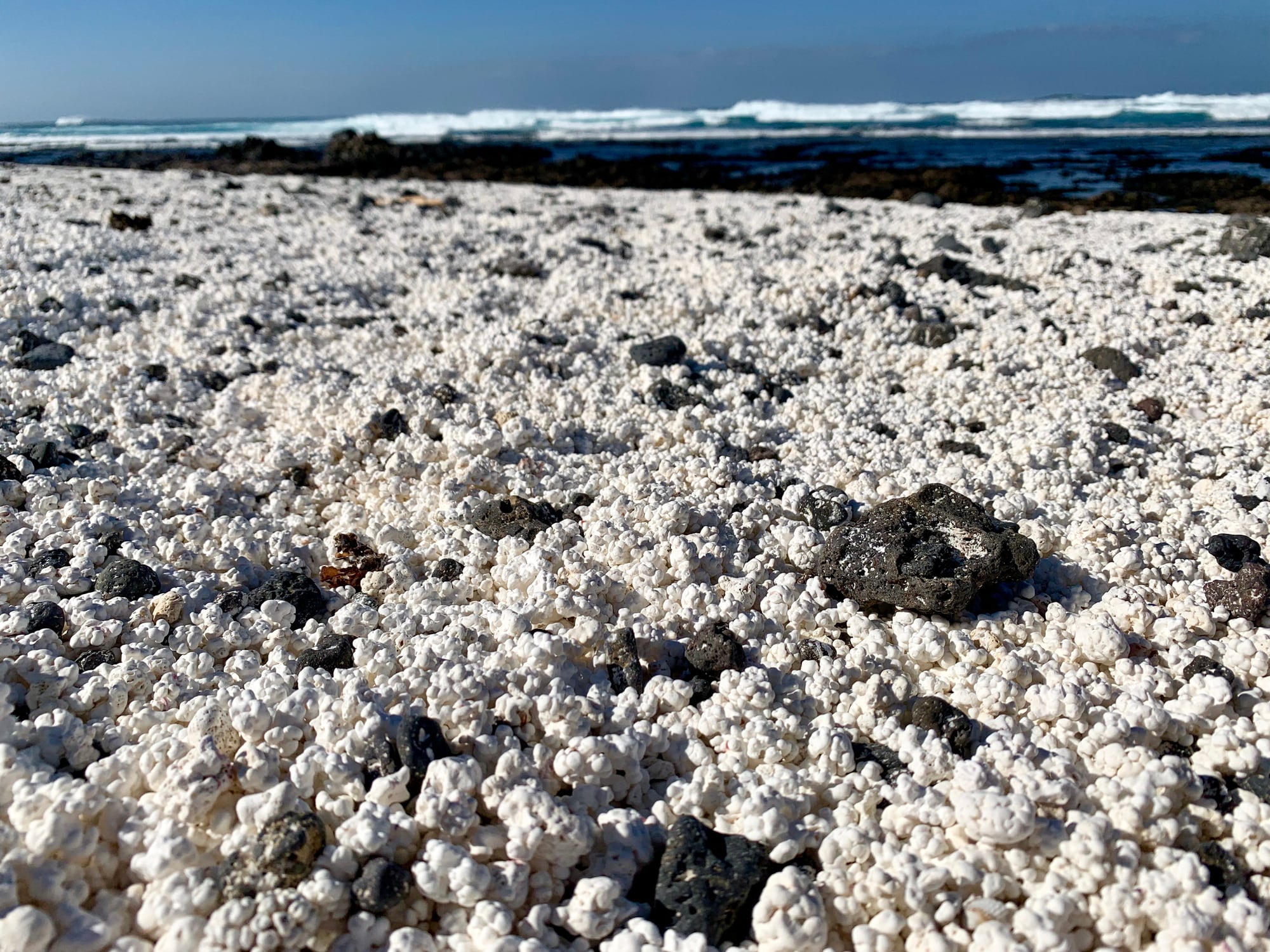 En la isla canaria de Fuerteventura hay playas con forma de palomitas que, ahora, un equipo de investigación advierte del peligro que supone su &#039;saqueo&#039;