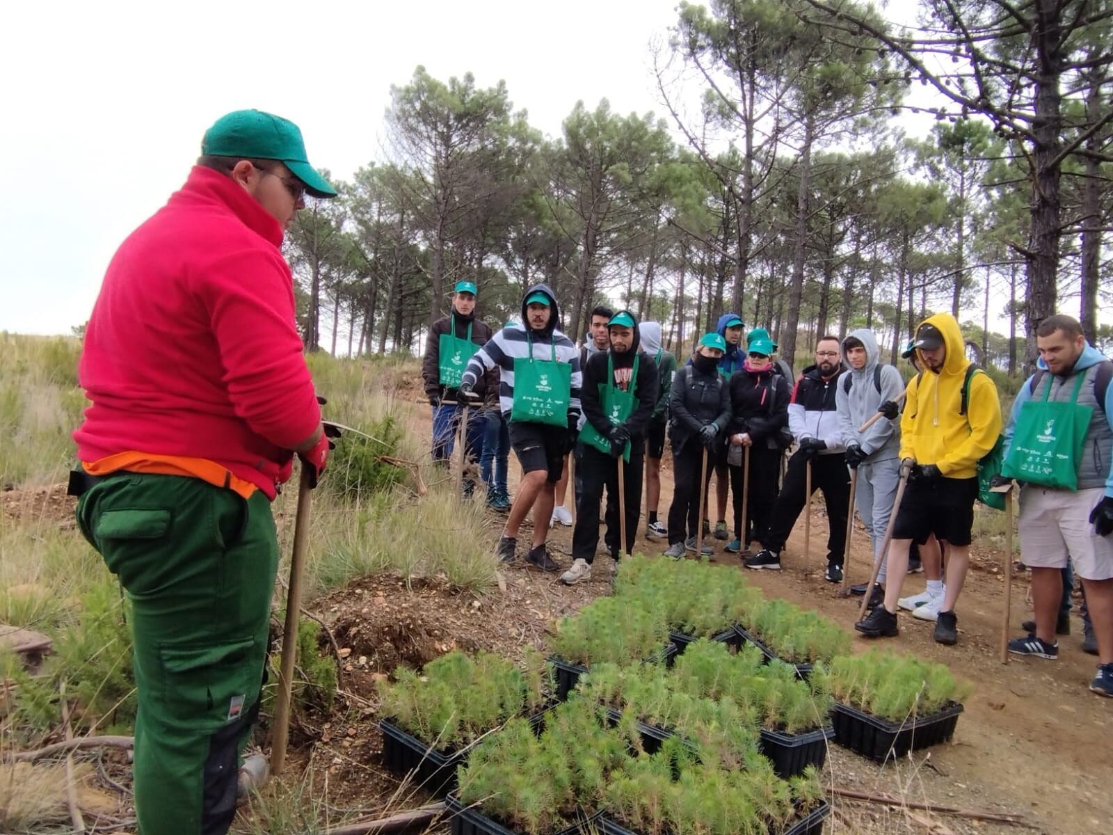 Grupo de voluntarios