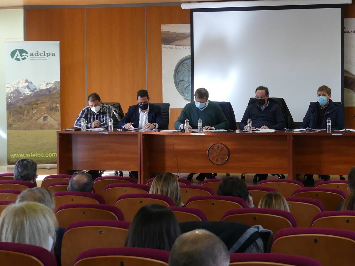 Adelpa quiere formar parte de la Mesa de la Energía de Aragón