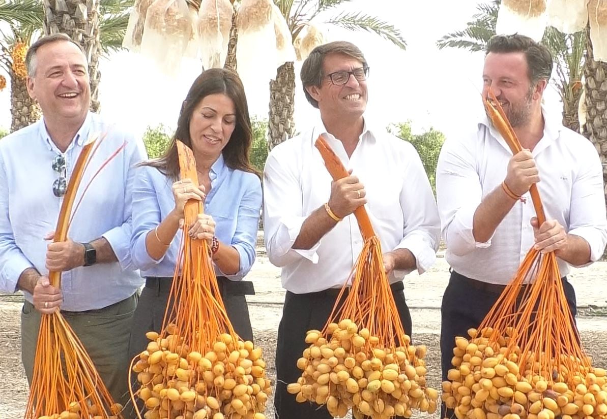 Acto corte del dátil en Elche