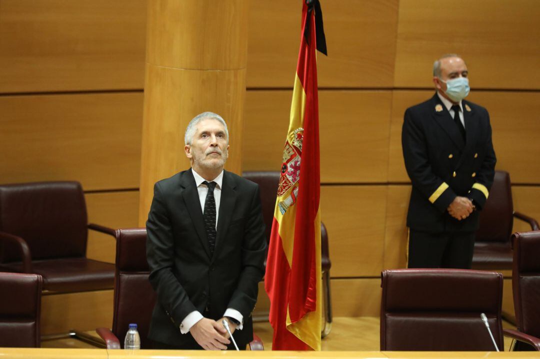 Comparecencia en el Senado de Fernando Grande-Marlaska