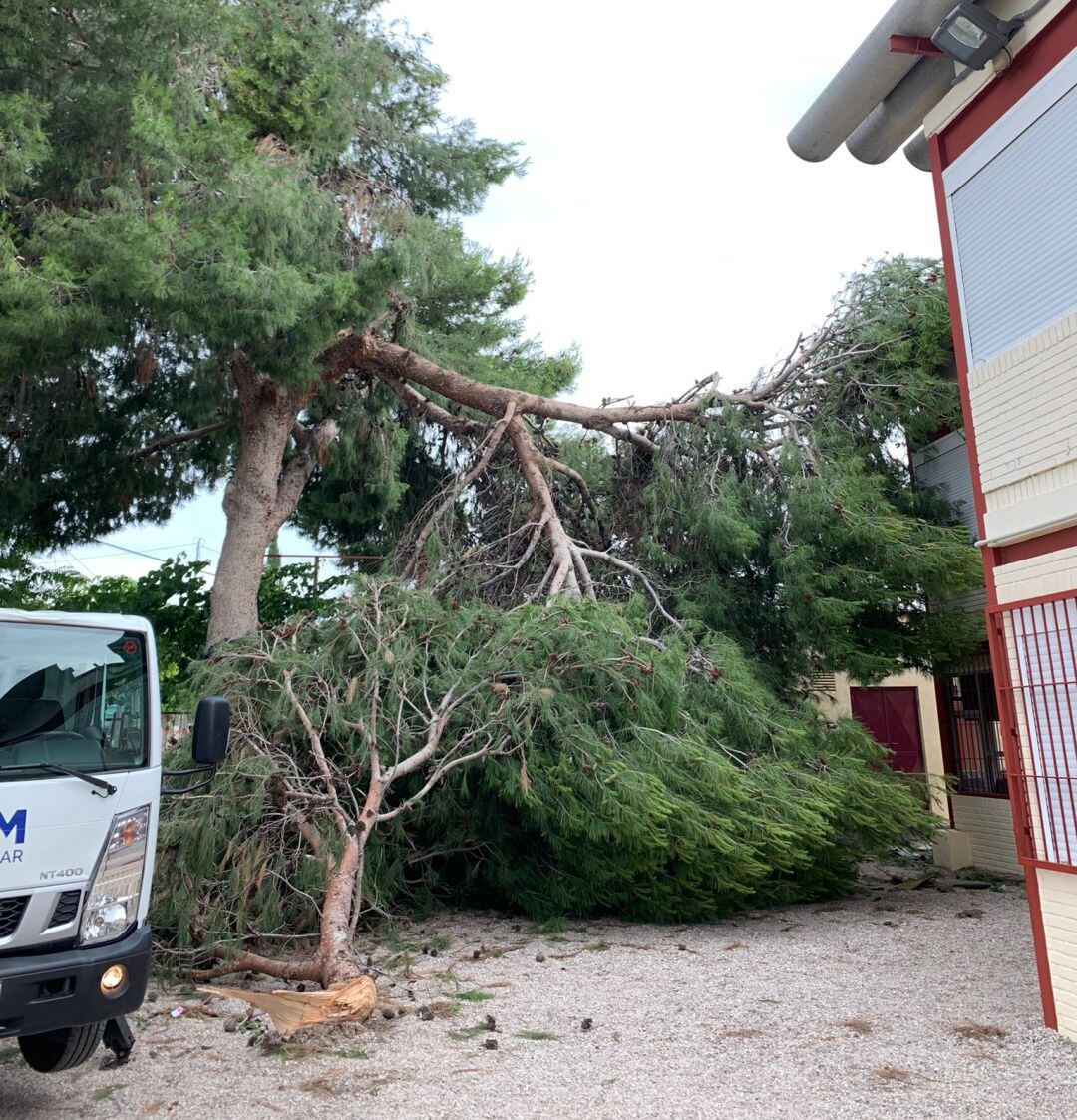 El Ayuntamiento de Murcia arregla con caracter de urgencia los desperfectos causados por la última tormenta en el CEIP Pablo Gil del Castillo