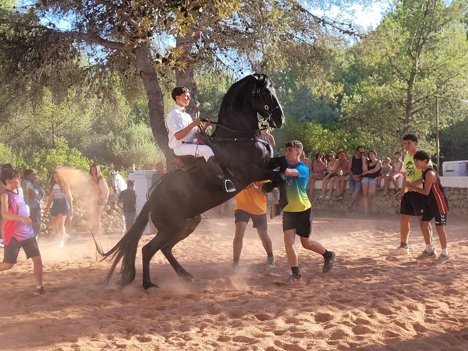 Els alaiorencs ja van poder botar amb cavalls a Binixems.