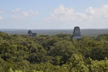 Fotografía del Parque Nacional de Tikal