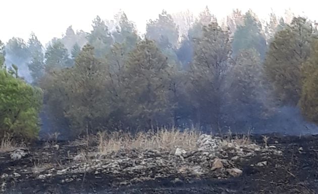 El incendio quedó controlado a las 20.00 h del domingo.