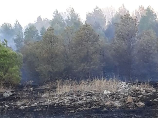 El incendio quedó controlado a las 20.00 h del domingo.