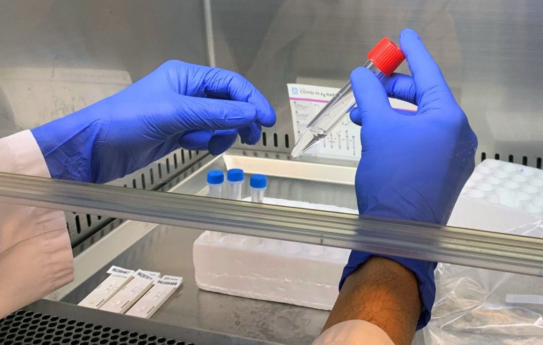 Prueba PCR para detección de Covid-19