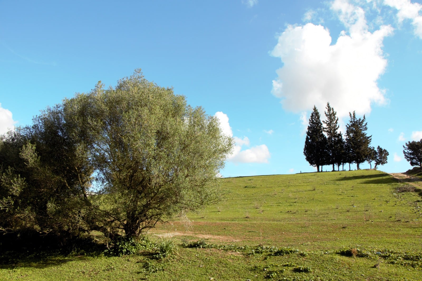 Recorrido Garciagos y Cerro Naranja