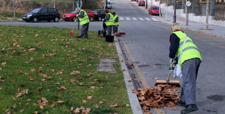 Un grupo de trabajadores de un plan de empleo