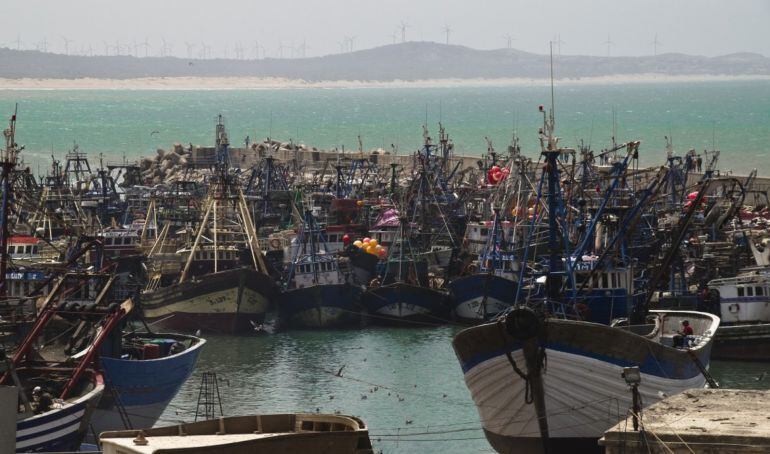 Pesqueros en puerto