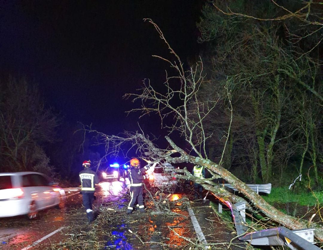 La Agrupación de Bomberos Voluntarios retiró los restos del árbol de la calzada