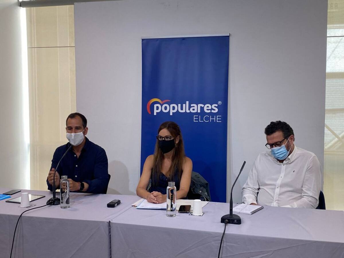 El PP de la Comunidad Valenciana presenta 40 enmiendas a la Ley del Palmeral de Elche