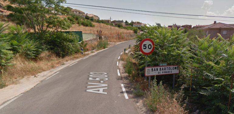 El ataque de las abejas se produjo cerca de San Bartolomé de PInares