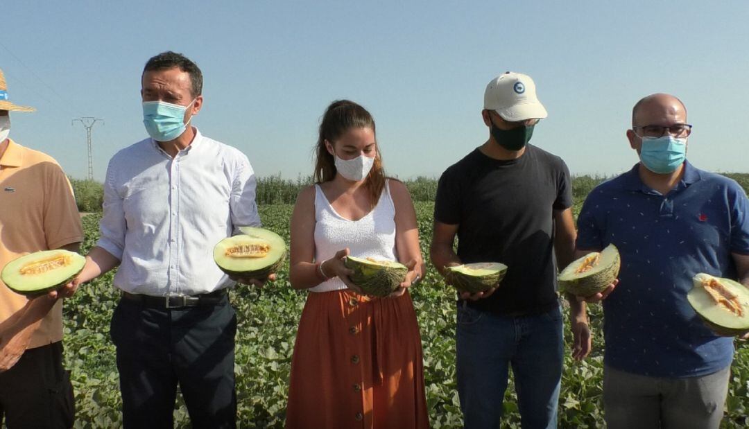 Presentación del melón de Carrizales