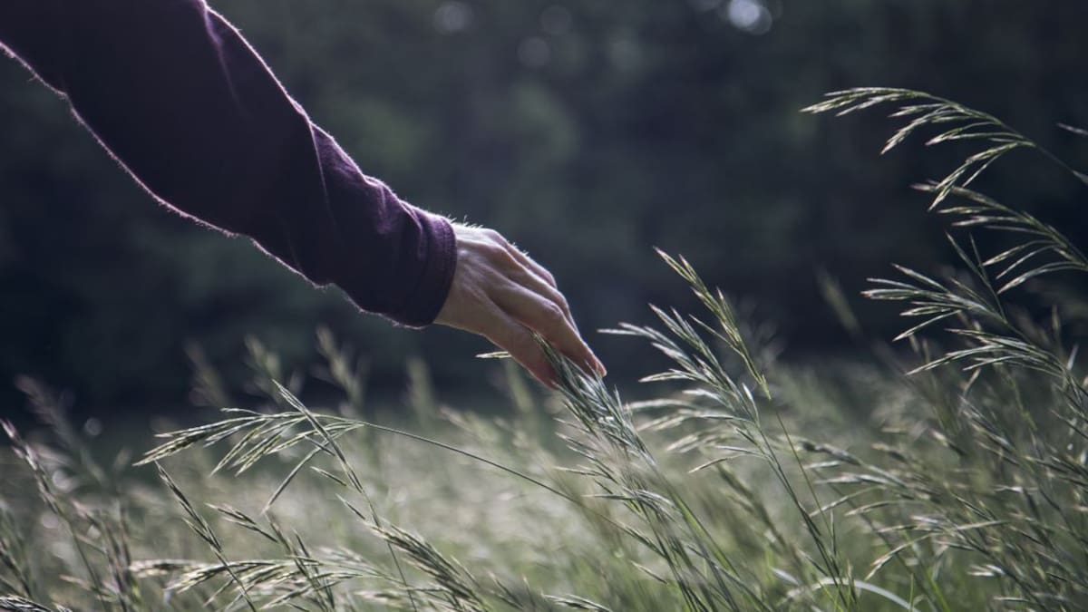 Rafael Santandreu: "No sabemos cuál es el sentido de la vida, pero por supuesto que lo tiene"