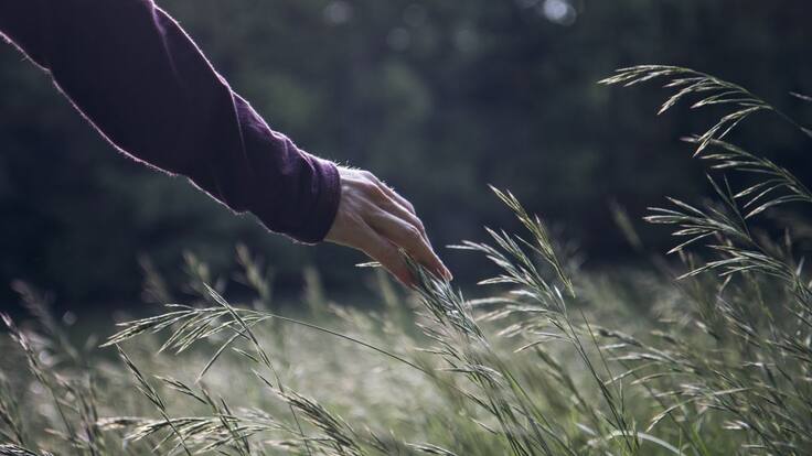 Rafael Santandreu: "No sabemos cuál es el sentido de la vida, pero por supuesto que lo tiene"