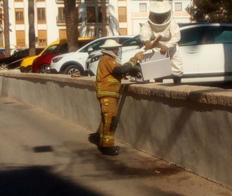 Retirada de un enjambre de abejas en Benissa.