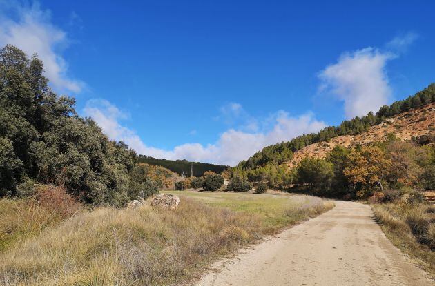 Camino al paraje del Campillo, en Tinajas.