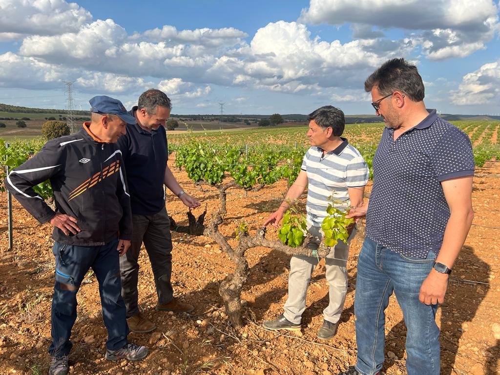 Julián Morcillo valora los daños por la sequía a pie de campo